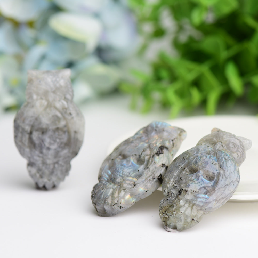 2.1" Labradorite Owl with Skull Dec Crystal Carving