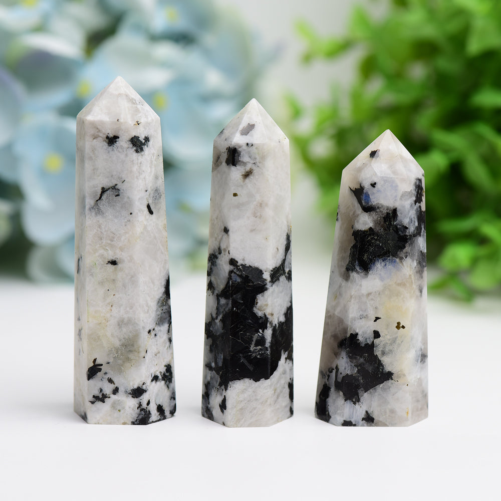 2.5"-4.5" Black Moon Stone Crystal Point Bulk Wholesale