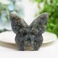 3.0" Labradorite & Golden Obsidian Butterfly Carving Bulk Wholesale
