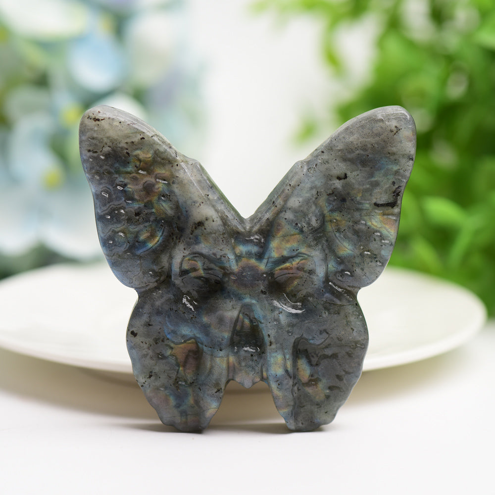 3.0" Labradorite & Golden Obsidian Butterfly Carving Bulk Wholesale