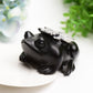 4.0" Ammonite Frog Crystal Carving Bulk Wholesale