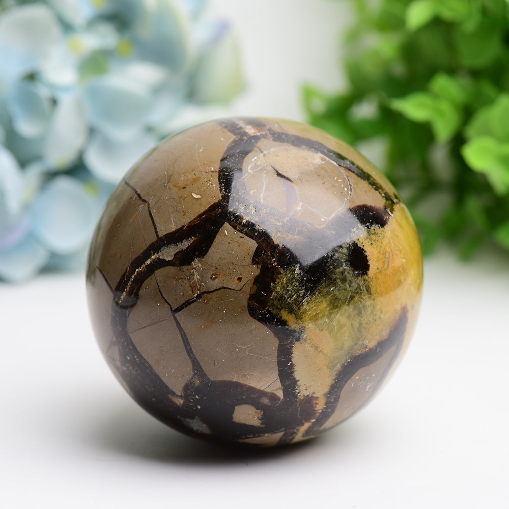 2.0"-3.2" Septarium Crystal Sphere