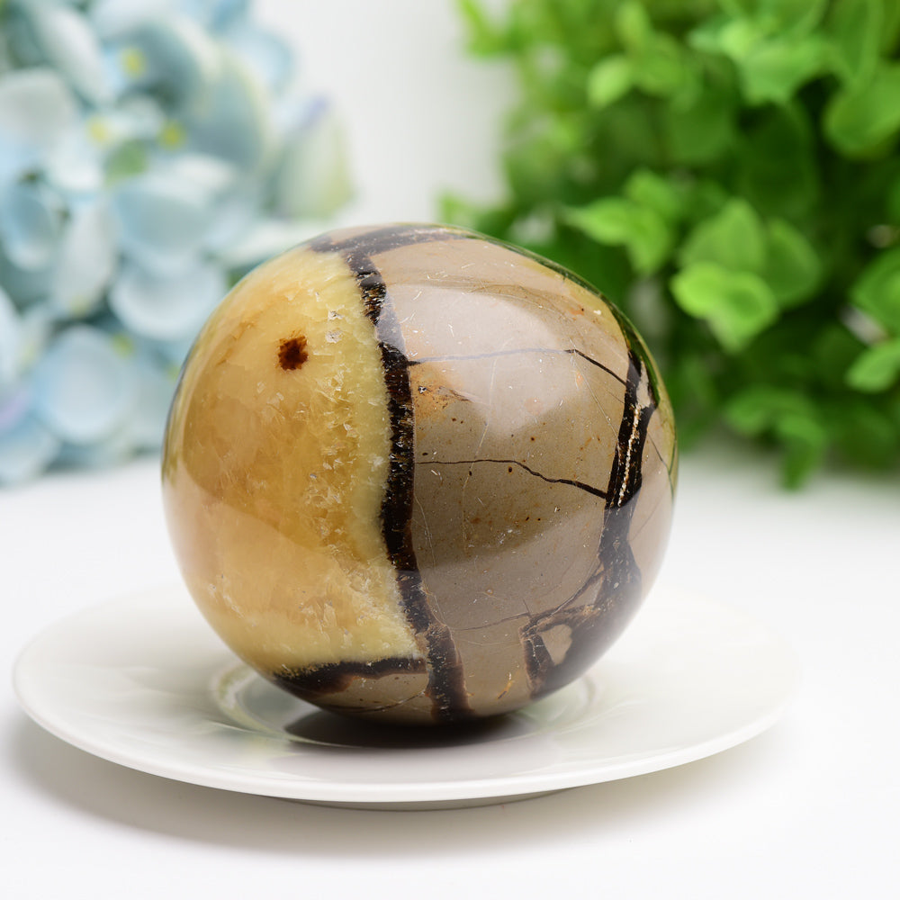 2.0"-3.2" Septarium Crystal Sphere