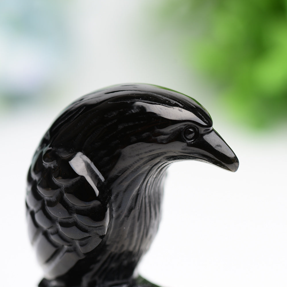 3.3" Black Obsidian Raven Bird Crystal Carving Free Form Bulk Wholesale