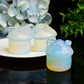 1.7" Opalite House Crystal Carving Bulk Wholesale
