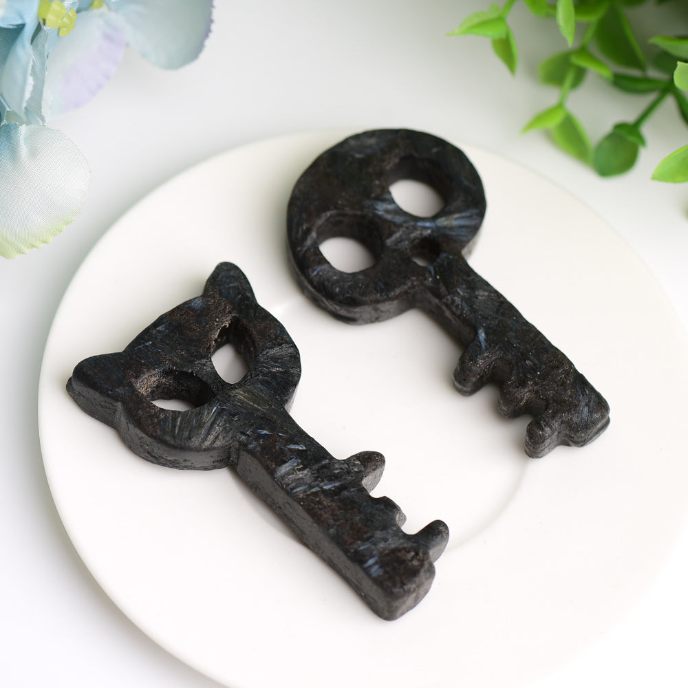 2.9" Astrophylite Life Key Crystal Carving Bulk Wholesale