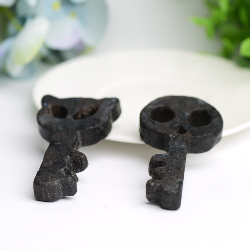 2.9" Astrophylite Life Key Crystal Carving Bulk Wholesale