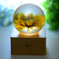 1 Set Resin Sphere with Sunflower Touch-sensitive Switch Lamp Free Form for Bulk Wholesale