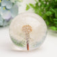 2.6" Resin Sphere with Dandelion Inside Bulk Wholesale