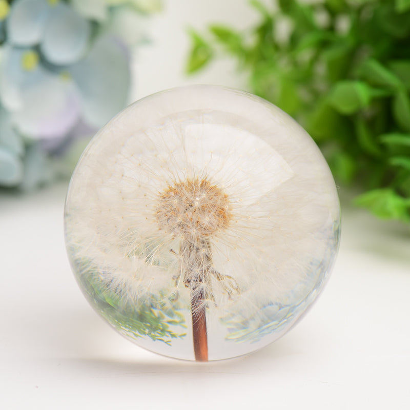 2.6" Resin Sphere with Dandelion Inside Bulk Wholesale