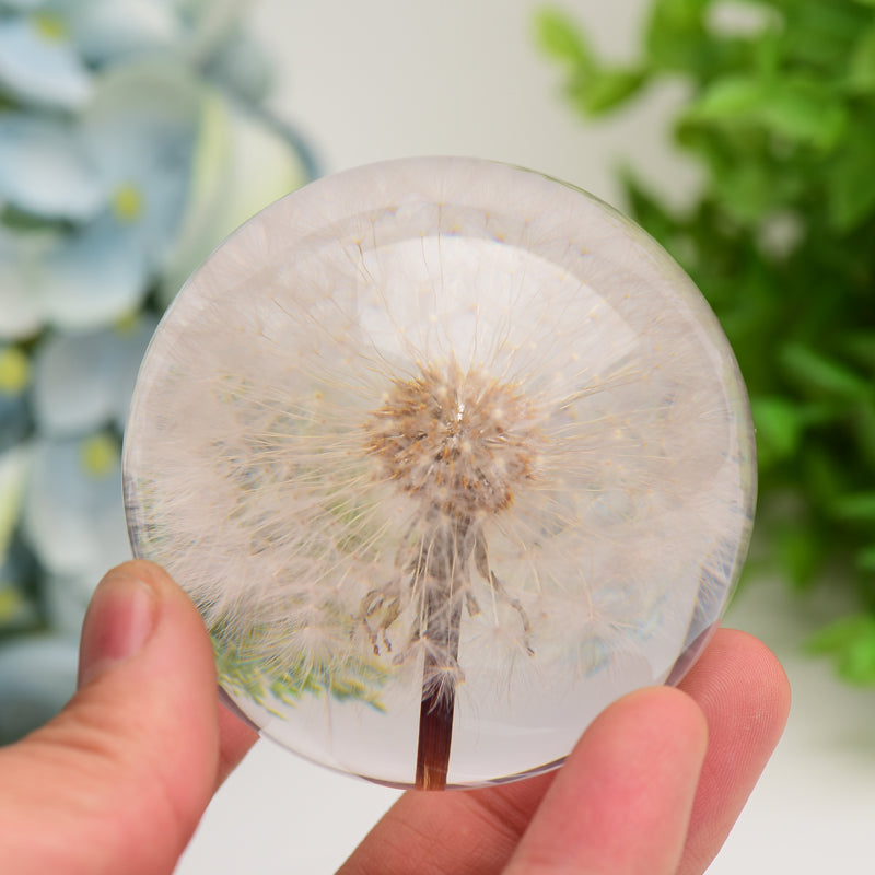2.6" Resin Sphere with Dandelion Inside Bulk Wholesale