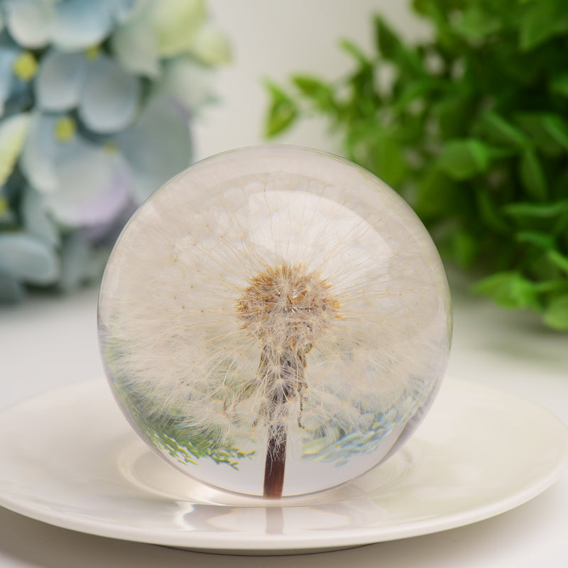 2.6" Resin Sphere with Dandelion Inside Bulk Wholesale