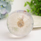 2.6" Resin Sphere with Dandelion Inside Bulk Wholesale
