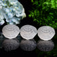 2.4" Selenite Shell Shape Carving Bulk Wholesale
