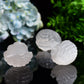 2.4" Selenite Shell Shape Carving Bulk Wholesale