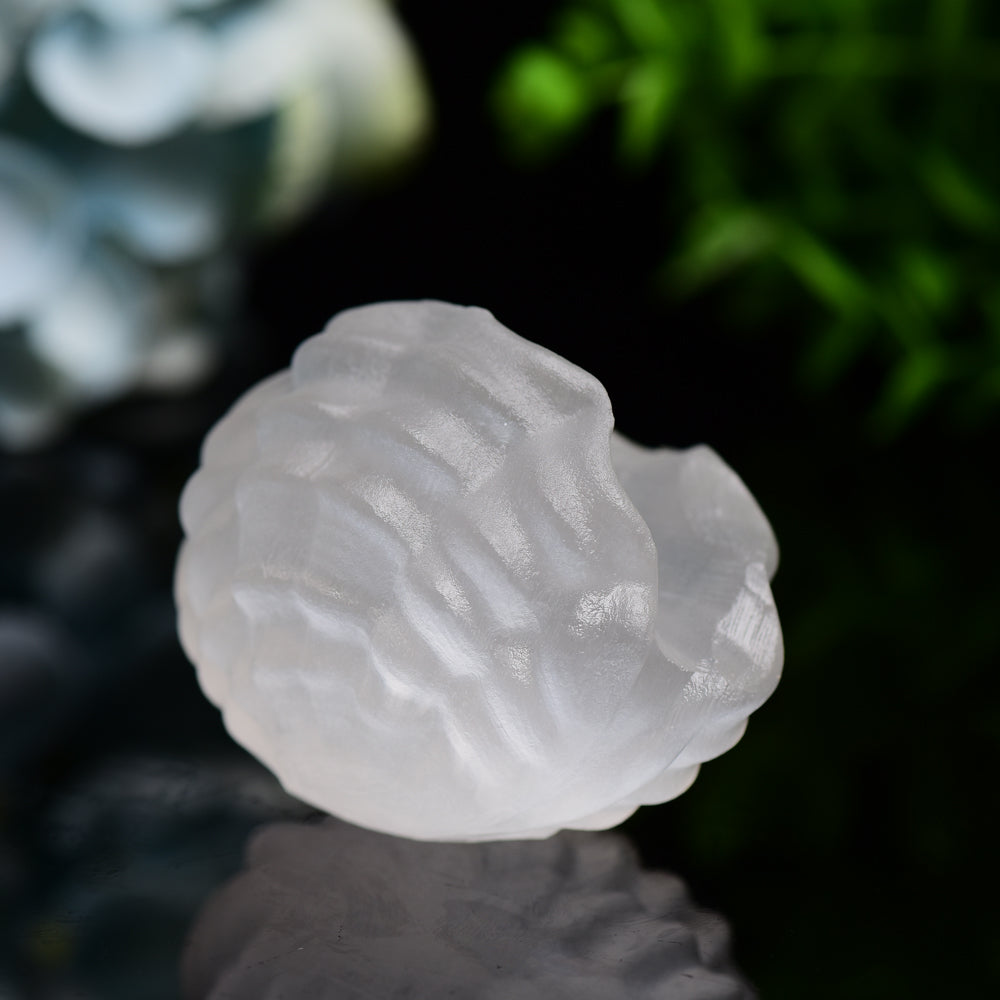 2.4" Selenite Shell Shape Carving Bulk Wholesale