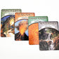 Earth Matic Tarot Card Bulk Wholesale