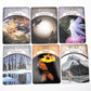 Earth Matic Tarot Card Bulk Wholesale
