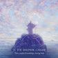 Oracle of the Hidden Worlds Bulk Wholesale