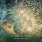 Oracle of the Hidden Worlds Bulk Wholesale