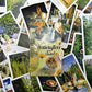 The Herbcratties Tarot Cards Bulk Wholesale