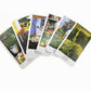 The Herbcratties Tarot Cards Bulk Wholesale