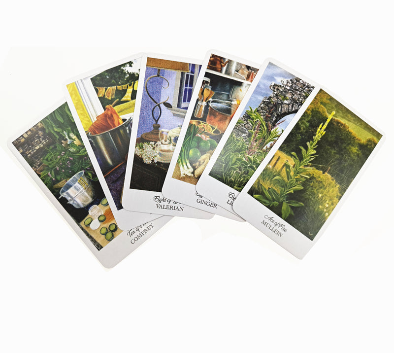 The Herbcratties Tarot Cards Bulk Wholesale