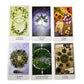 The Herbcratties Tarot Cards Bulk Wholesale