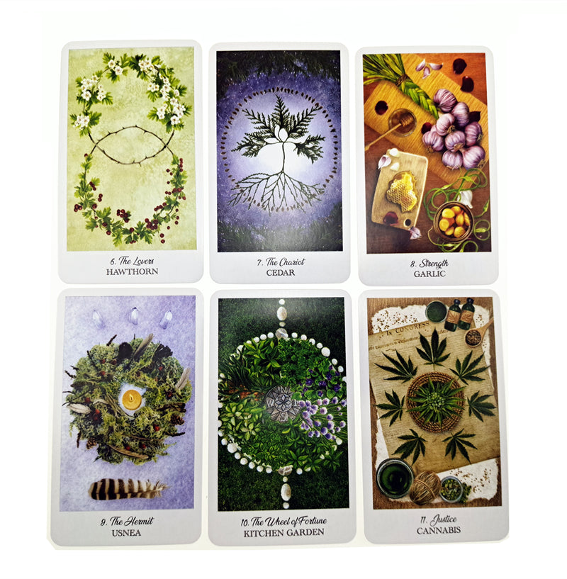 The Herbcratties Tarot Cards Bulk Wholesale