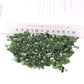 0.1kg Natural Green Jade Crystal Chips Crystal wholesale suppliers