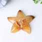 3.0"-3.5" Druzy Agate Starfish Crystal Carvings Crystal wholesale suppliers