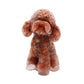 Toy Poodle Crystal Chips Resin Decoration