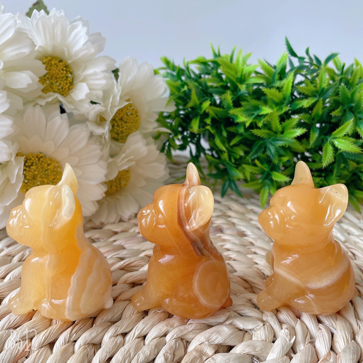 2.4" High Quality Yellow Calcite French Bulldog Carving Crystal Dog For Home Decor Crystal wholesale suppliers