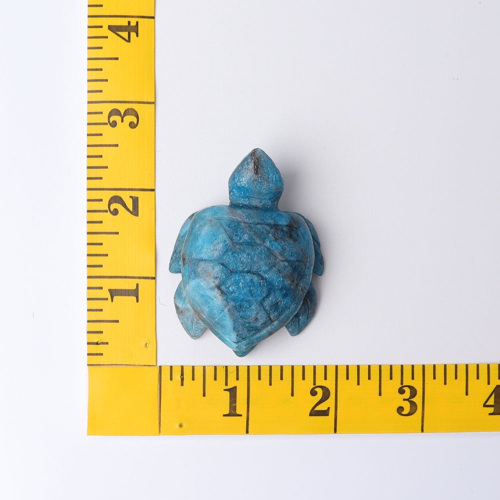 2.3" Blue Apatite Sea Turtle Crystal Carvings Crystal wholesale suppliers