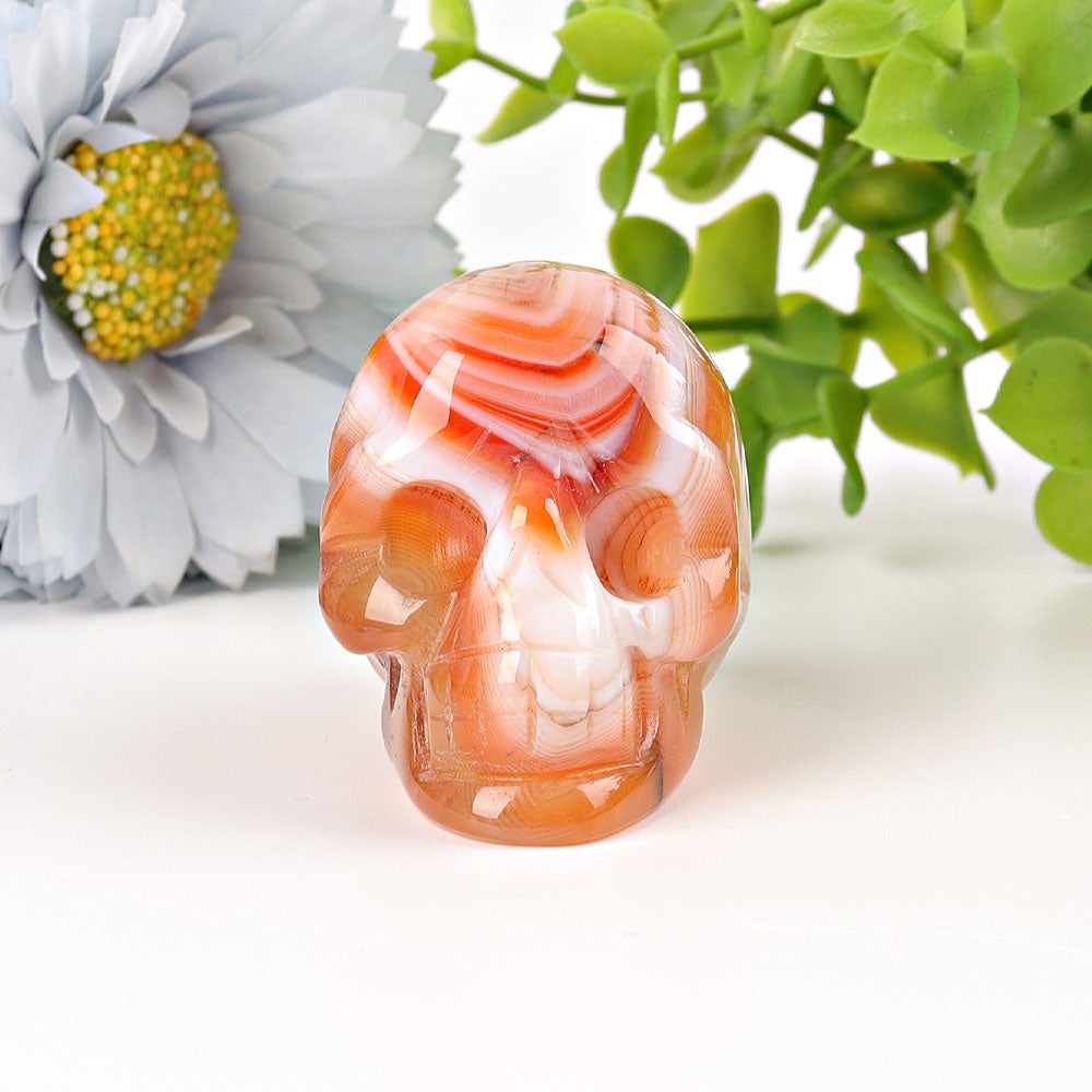 2" Sardonyx Skull Crystal Carvings Crystal wholesale suppliers