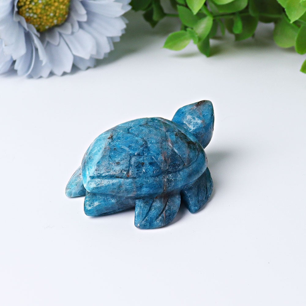 2.3" Blue Apatite Sea Turtle Crystal Carvings Crystal wholesale suppliers