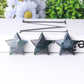 2" Moss Agate Star Crystal Carvings Crystal wholesale suppliers