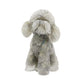 Toy Poodle Crystal Chips Resin Decoration