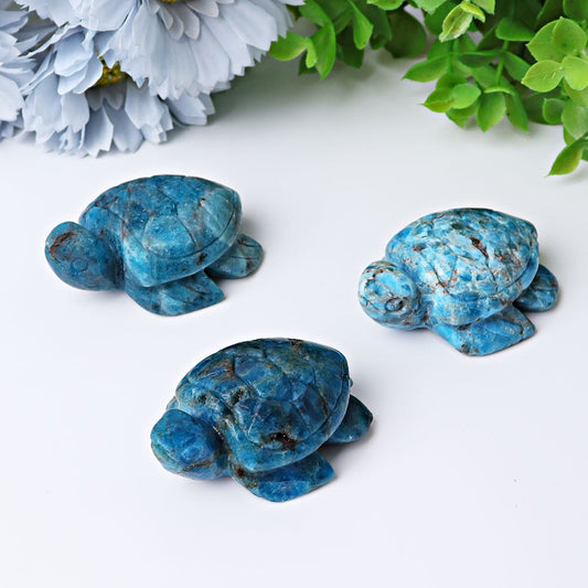 2.3" Blue Apatite Sea Turtle Crystal Carvings Crystal wholesale suppliers