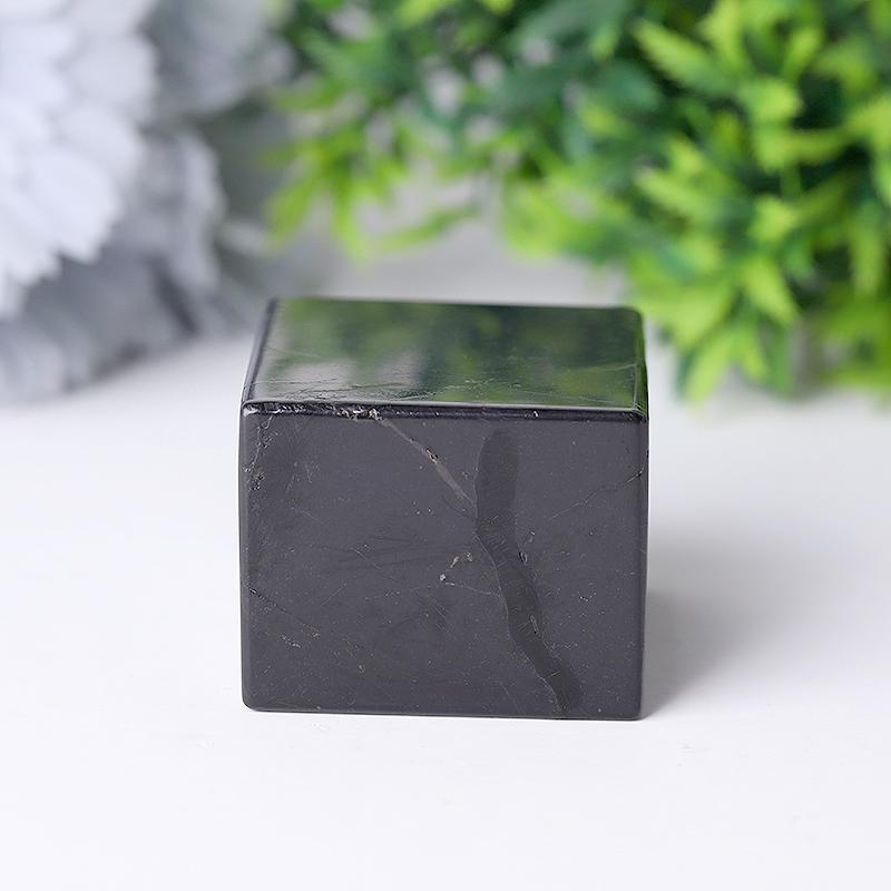 2" Natural Healing Shungite Cubes